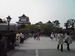 1105024.jpg