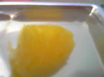 1106045.jpg