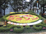 111119a.jpg