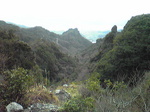 1203104.jpg