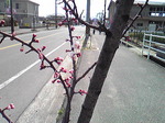 1203251.jpg