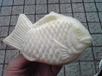 1204014.jpg