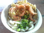 1204062.jpg