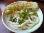 1204063.jpg