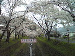 1204141.jpg
