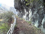 1204144.jpg