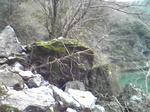 1204146.jpg