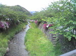 1205021.jpg