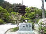 1205023.jpg