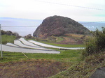 1205031.jpg