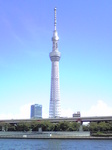201209091.jpg
