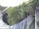 201209155.jpg