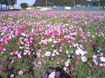 20121020.jpg