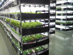 201210202.jpg