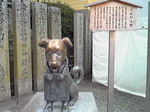 201211101.jpg