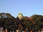 201211251.jpg