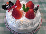 201212242.jpg