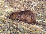 201303162.jpg